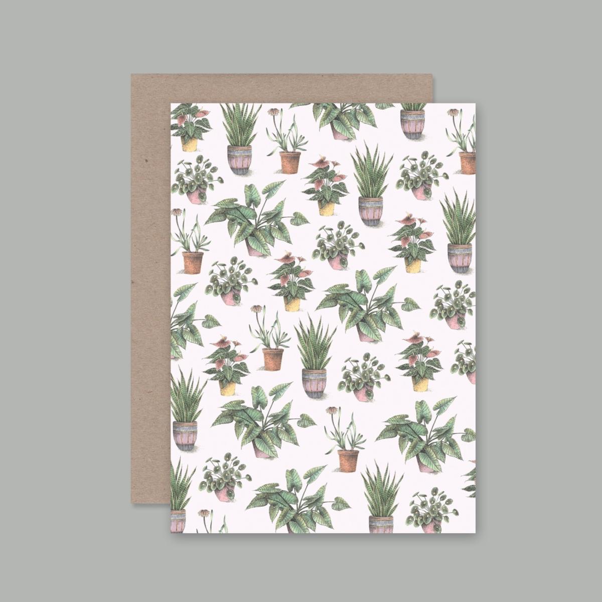 AHD Single Card | House Plants