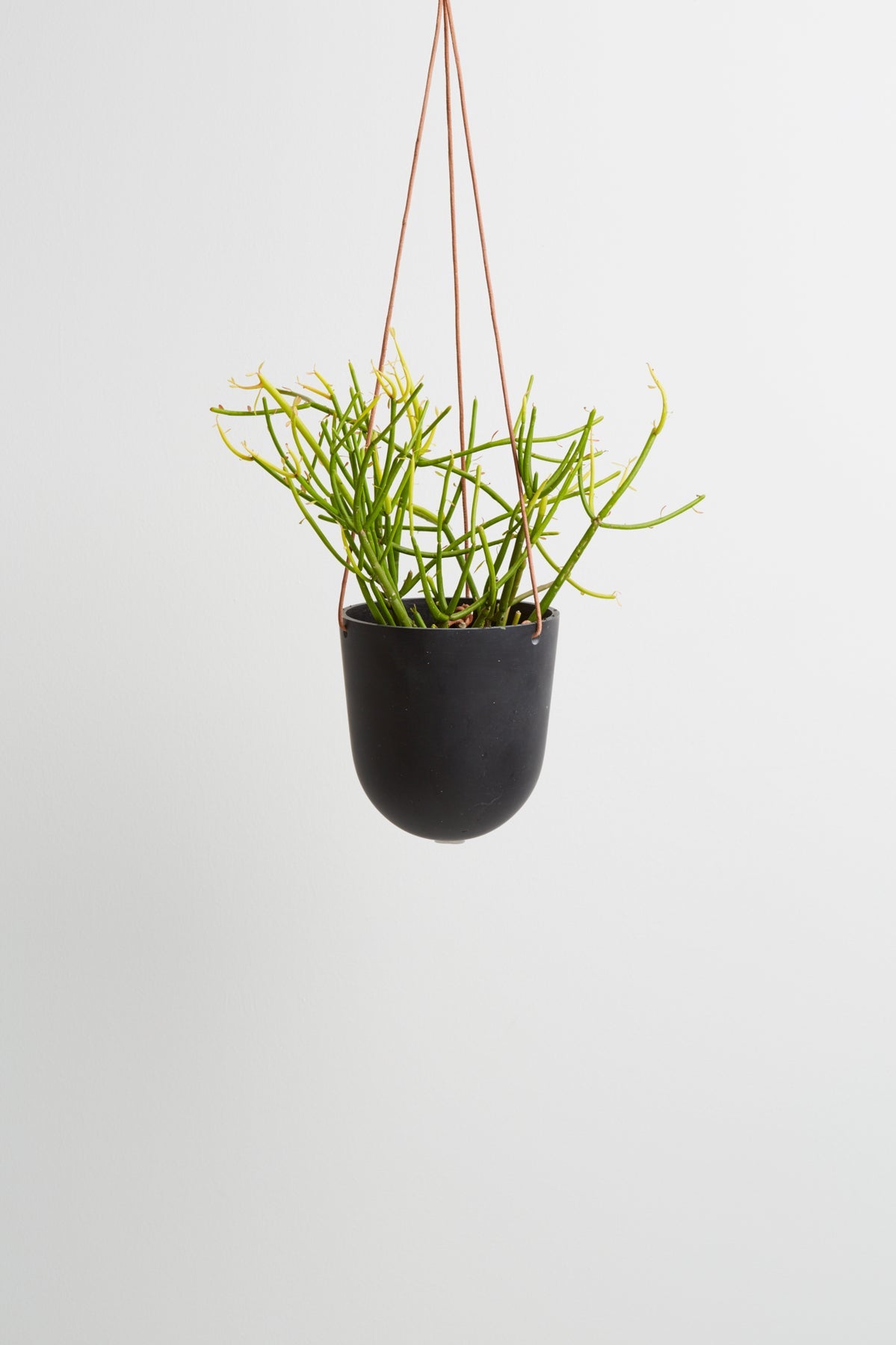 Dome Hanging Pot Small | Various Colours